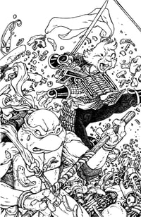 Image 2 of TMNT/Usagi Wherewhen 5 issue adjoined covers art