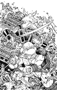 Image 4 of TMNT/Usagi Wherewhen 5 issue adjoined covers art
