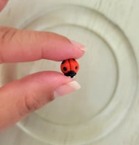 Image 3 of Earrings | Aretes Ladybugs Stud