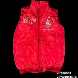 Delta Sigma Theta Vests