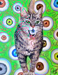 cat got your eye 👁 