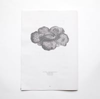 Image 4 of Allan Gilbert Balon / So Lo Piano Works Vol 1