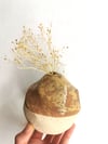 Florero espiral. Spiral flowerpot