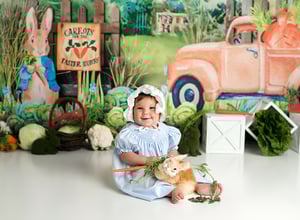 Image of Cake Smash Session - $900