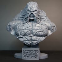 Image 1 of The Swamp Thing