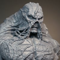 Image 2 of The Swamp Thing