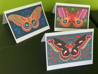 Image 1 of Moth Card Set