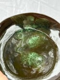 Moss Dish #1