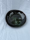 Moss Dish #1