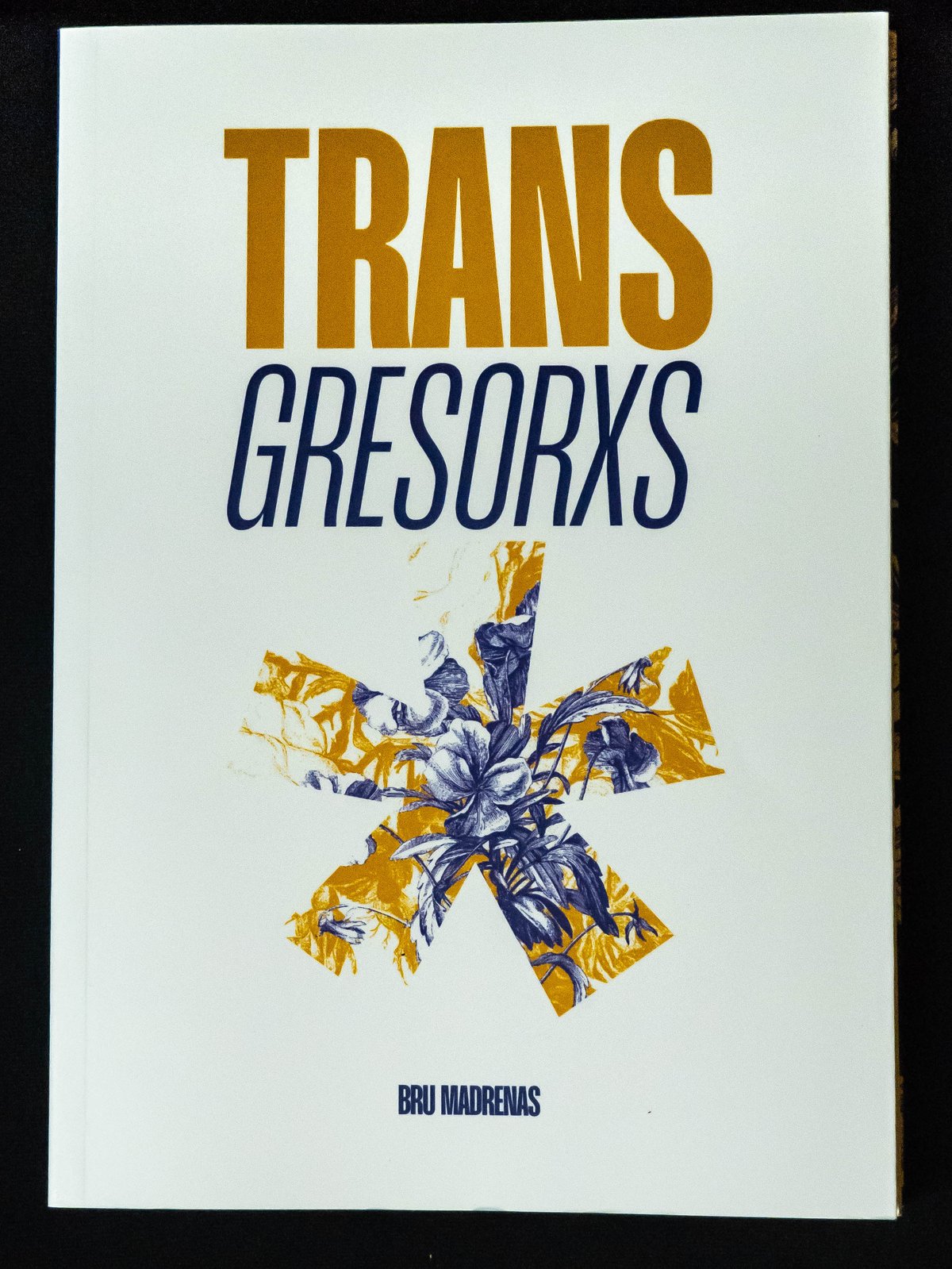 Image of Libro en CASTELLANO "Transgresorxs"