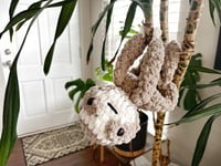 Image 1 of Sully the Sloth Snuggler