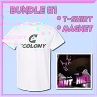 Image 3 of Reinvented Colony Logo T-Shirt + Bundle