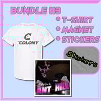 Image 4 of Reinvented Colony Logo T-Shirt + Bundle