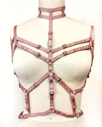 Image of Ash Rose Body Harness - Reserved for MJ