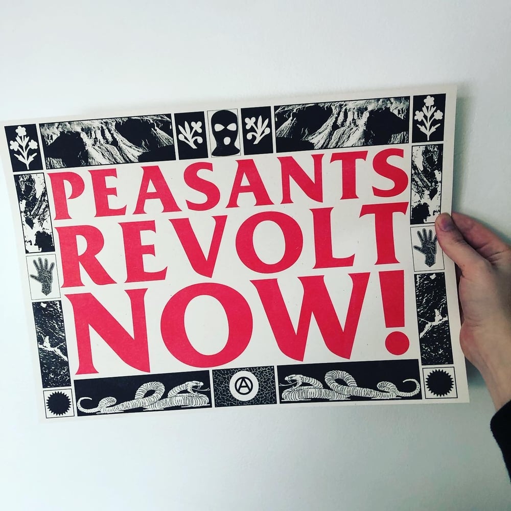 Image of PEASANTS REVOLT NOW! A3 RISO PRINT