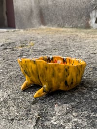 Image 2 of simply a dude bowl