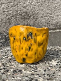 Image 5 of gecko cup