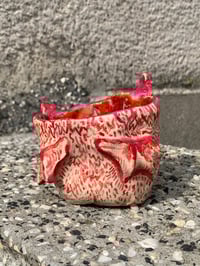 Image 2 of baby bat cup