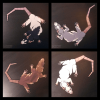 Image 2 of Rat - Poseable Magnets