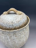 Speckled fermentation pot