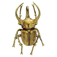 Golden Beetle #1 - Rhino Beetle