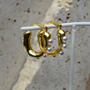 Image of DANNI HOOPS GOLD