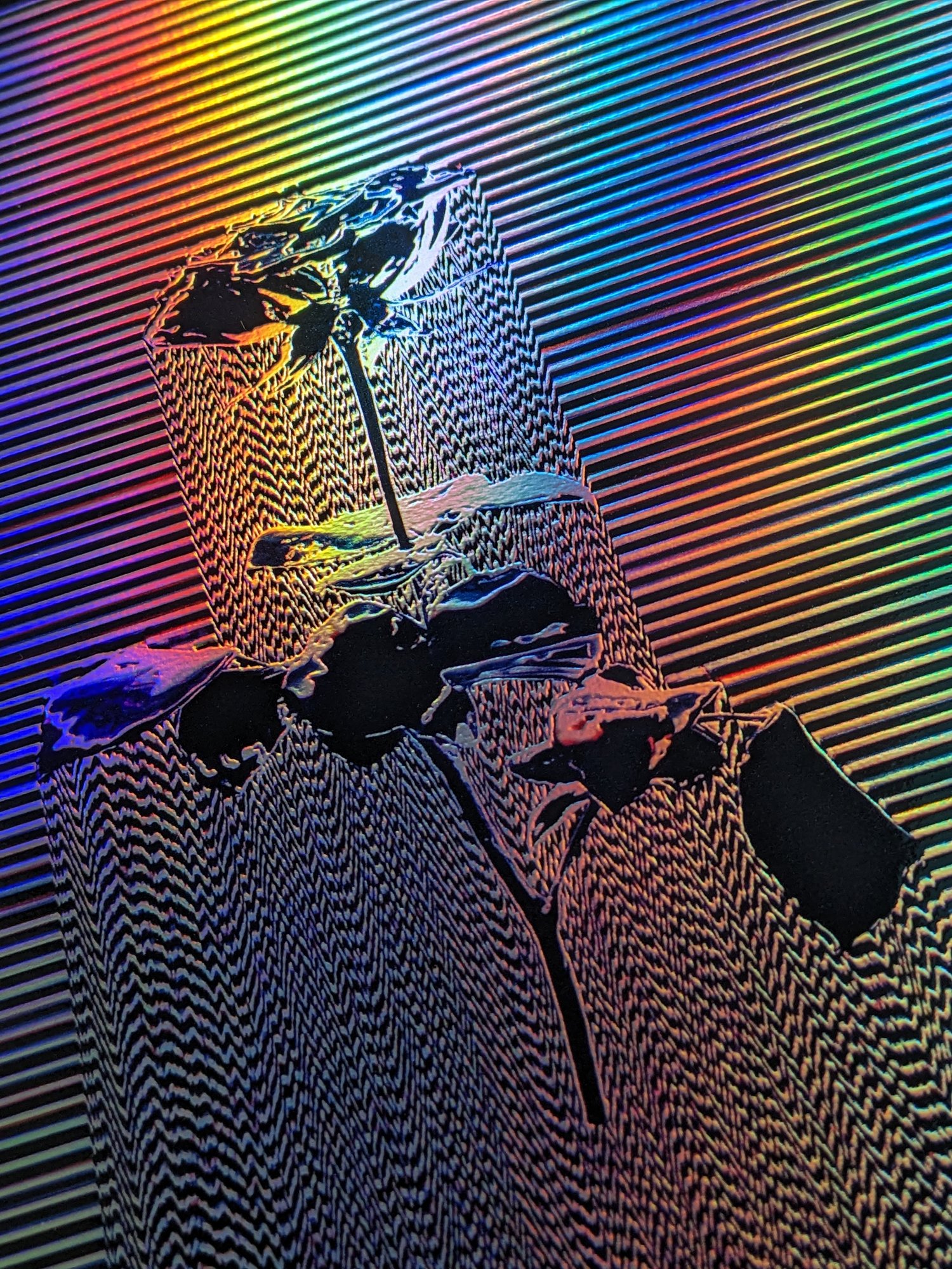 Image of ROSE Holographic print