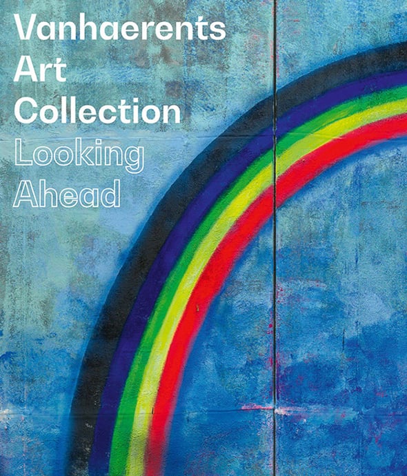 Vanhaerents Art Collection - Looking Ahead
