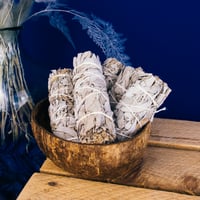 Image 3 of White Sage Bundle (farmed, not wild-harvested)