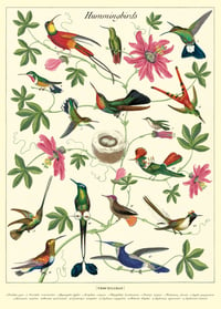 Cavallini & Co. Hummingbirds Poster, Archival Paper, Matte