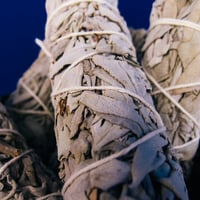 Image 4 of White Sage Bundle (farmed, not wild-harvested)