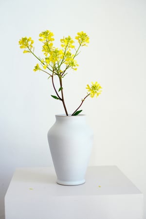Image of Vase - Plume 