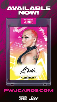 Image 1 of PWJ ALLIE KATCH TRADING CARDS