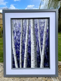 Image 3 of 'Sleepy Lavender' 