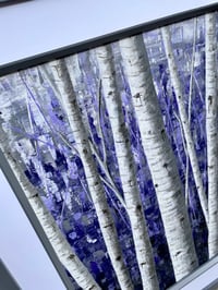 Image 4 of 'Sleepy Lavender' 