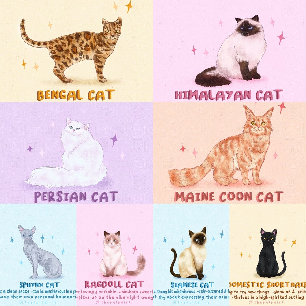Image of CAT LOVERS HOODIE