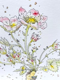 Image 5 of Beguiled - Print