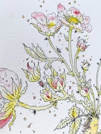 Image 3 of Beguiled - Print