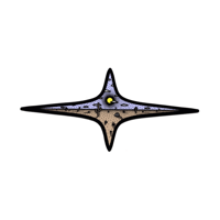 DESERT STAR STICKER