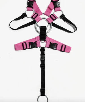 Image of PIXEL_mask_Black Mask_Pink_Harness