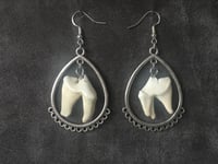 Coyote Molar Teeth Ornate Earrings