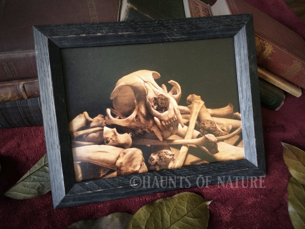 Wood Burned Cat Skull on Bone Pile