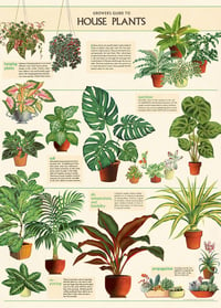 Cavallini & Co. House Plants Poster, Archival Paper, Matte