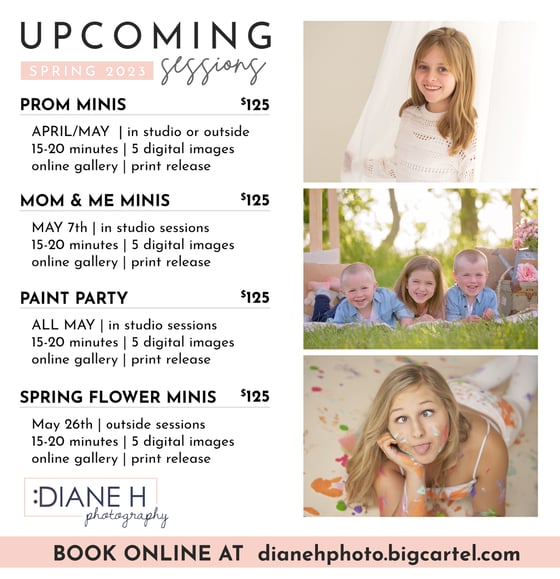 Image of SPRING MINI SESSIONS