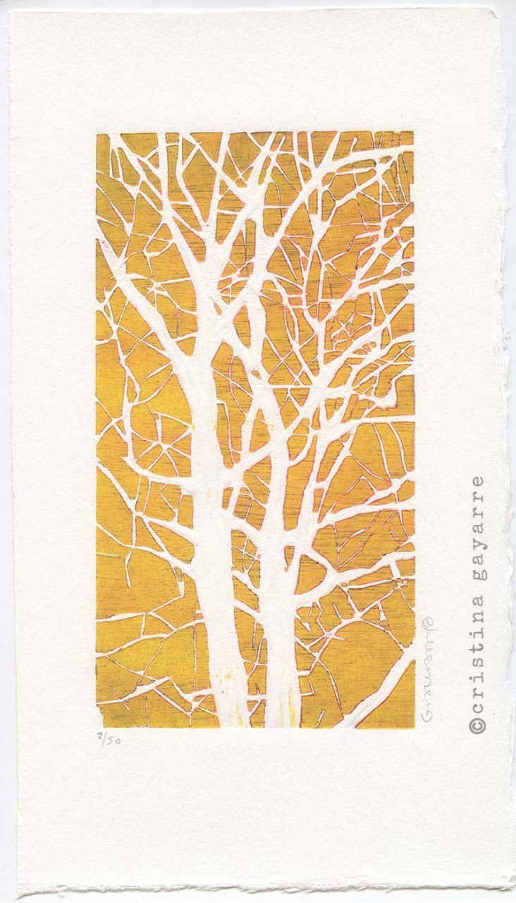 ÁRBOL AMARILLO