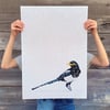 'Storm Magpie' - Print