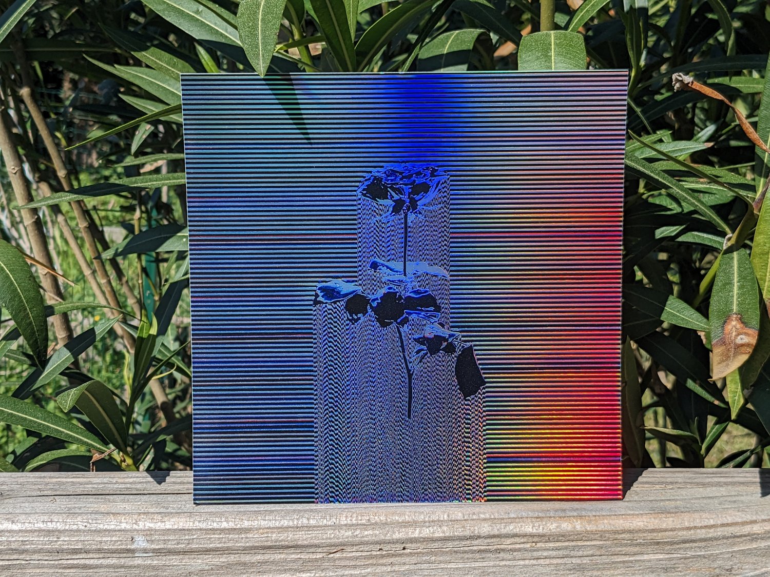 Image of ROSE Holographic print