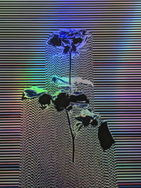 Image 3 of Rose - HOLO
