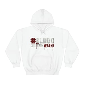 Image of BLOOD IN THE WATER Hoodie