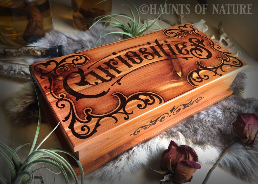 Cedar Box with "Curiosities" Design 